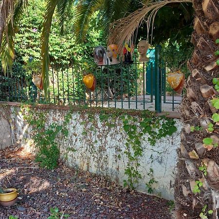 Pau Suite & Spa Panoramic Olivars מראה חיצוני תמונה